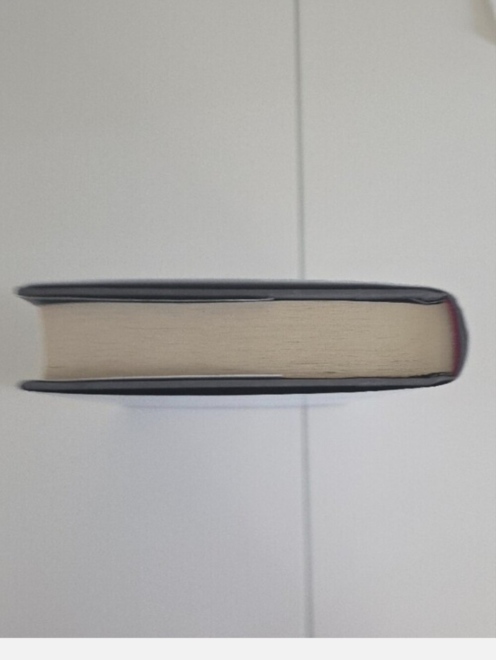 Red Queen- Hardcover - Picture 5 of 7